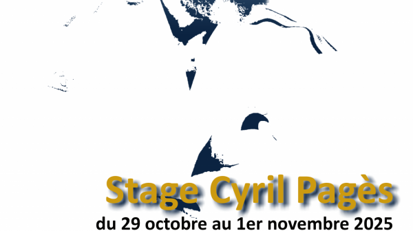 Stage Para Judo 